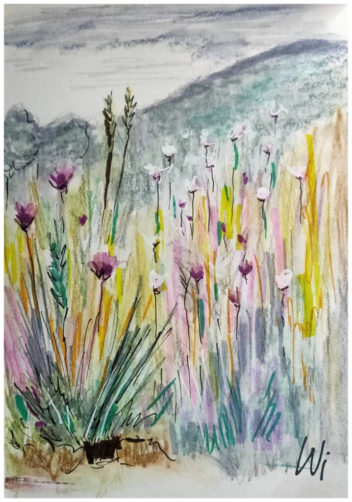 Blumenwiese am Listersee, Aquarellstifte, Fineliner und Marker, Sketchbook