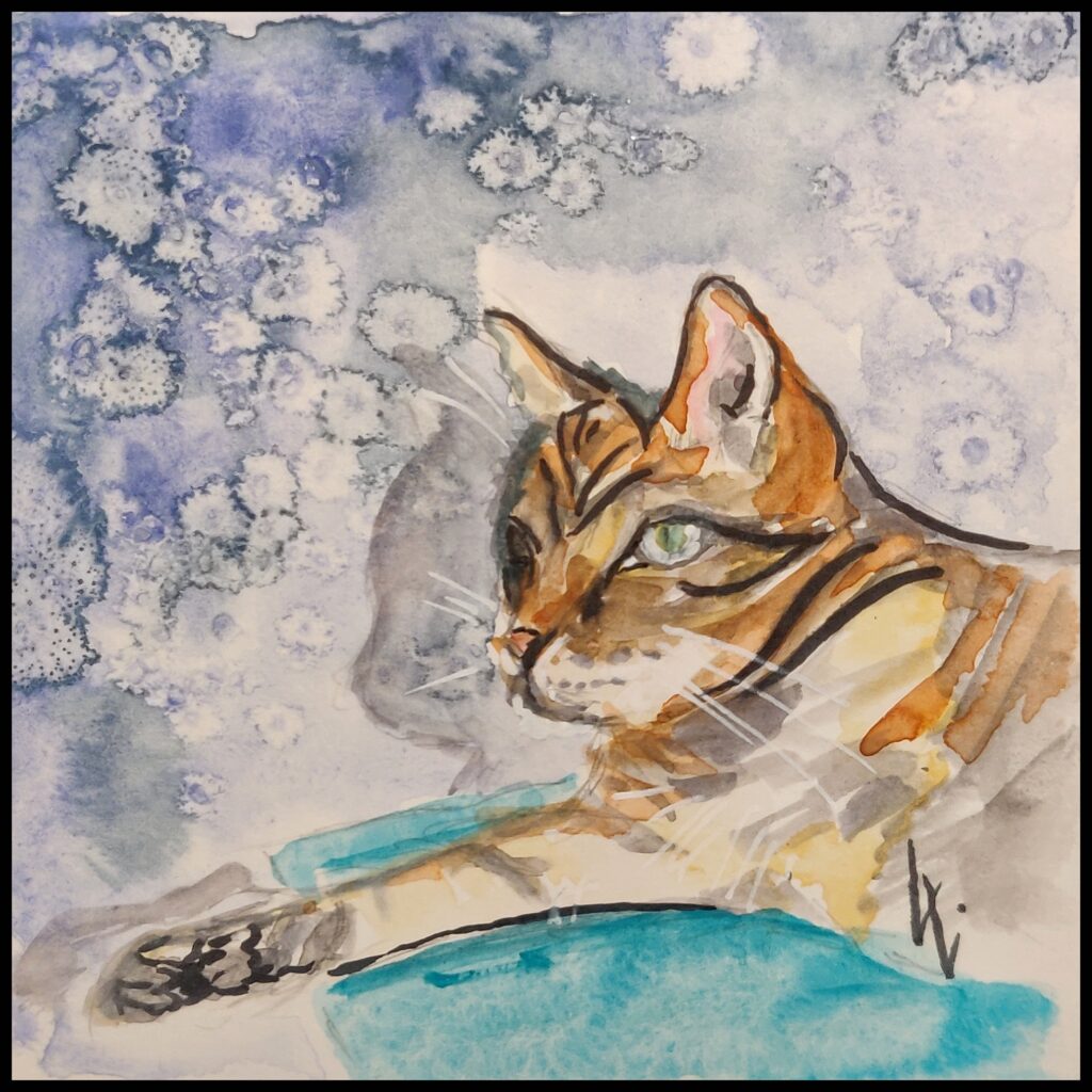 Liegender Kater, Wasserfarbe, 10x10 cm